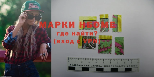 хмурый Верея