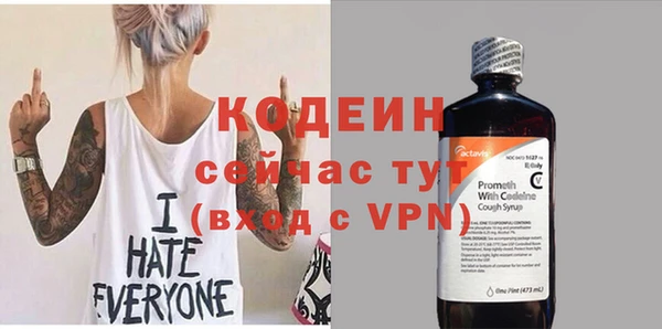 хмурый Верея