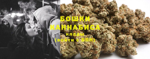 хмурый Верея