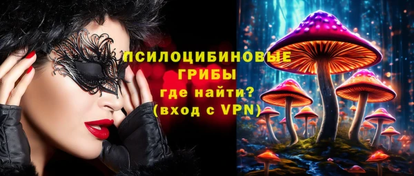 хмурый Верея