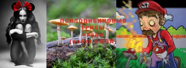 хмурый Верея