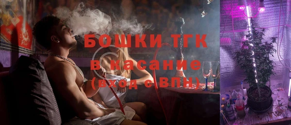 хмурый Верея