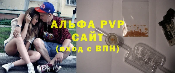 хмурый Верея