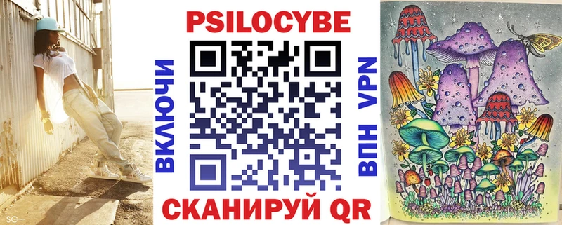 купить  сайты  Ноябрьск  Псилоцибиновые грибы мицелий 